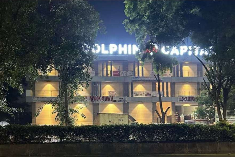 Dolphin_Capital_Image_2